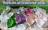 Комплект шорти+2 топа hand made for Paola Reina, 32 см